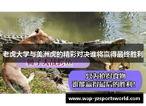 老虎大学与美洲虎的精彩对决谁将赢得最终胜利