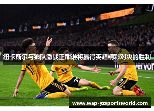 纽卡斯尔与狼队激战正酣谁将赢得英超精彩对决的胜利